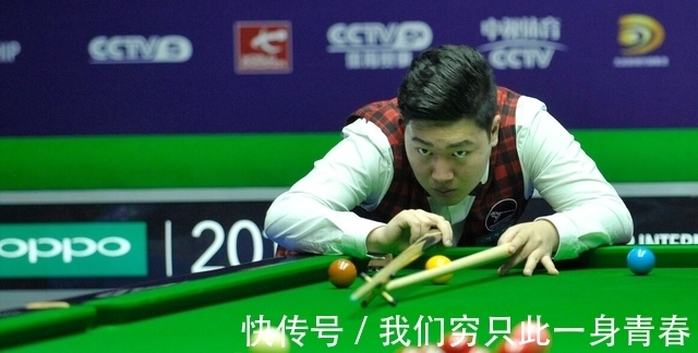 猛龙的整体 猛龙的整体